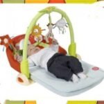 Evolu’two Baby Play Mat
