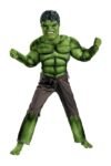 The Incredible Hulk Costume For Kid's
