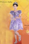 Princess Sofia Costume With Crown