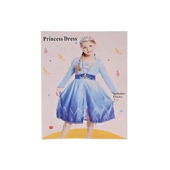 Frozen 2 Elsa Princess Costume