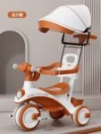 Tricycle with Umbrella-BD244