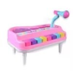 Musical organ colourful piano