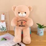Huggy Teddy | 3 Colors
